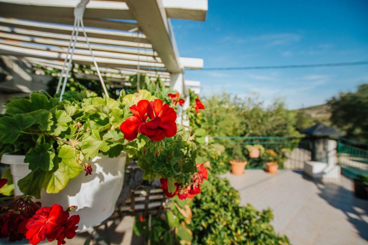 Country House Rusula Vrsine Exterior foto
